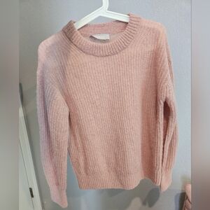 Everlane Cocoon Crew in Alpaca